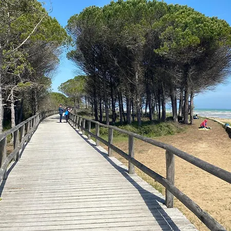 Close To The - Beahost - Bibione